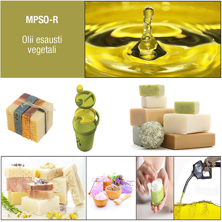 RDQ_MPSO-R_9